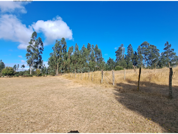 CAMPO 6,8 HA CERCA CIUDAD RUTA S-40 PLANO