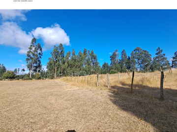 CAMPO 6,8 HA CERCA CIUDAD RUTA S-40 PLANO