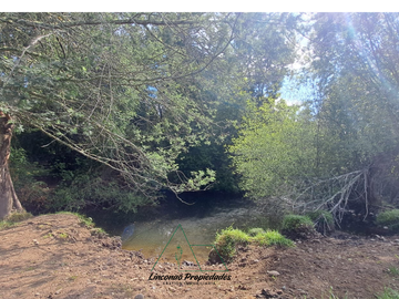 OPORTUNIDAD CAMPO 52 HA EN FREIRE CON GRAN PROYECCION