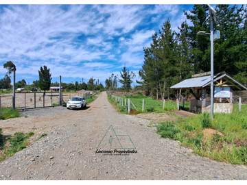 OPORTUNIDAD CAMPO 52 HA EN FREIRE CON GRAN PROYECCION