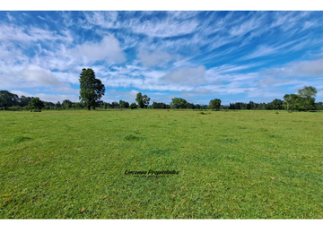 OPORTUNIDAD CAMPO 52 HA EN FREIRE CON GRAN PROYECCION