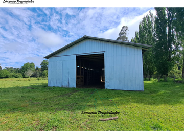 OPORTUNIDAD CAMPO 52 HA EN FREIRE CON GRAN PROYECCION