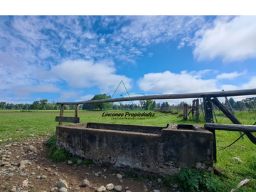 OPORTUNIDAD CAMPO 52 HA EN FREIRE CON GRAN PROYECCION