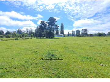 OPORTUNIDAD CAMPO 52 HA EN FREIRE CON GRAN PROYECCION