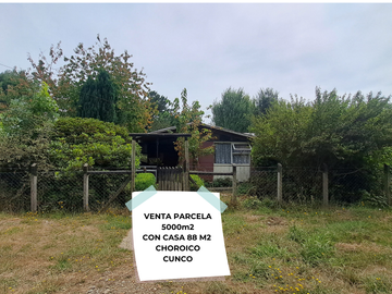 PARCELA 5000 M2 CON CASA REGULARIZADA EN CUNCO 65 MILLONES