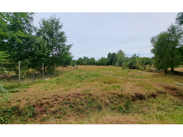 PARCELA 5000 M2 CON CASA REGULARIZADA EN CUNCO 65 MILLONES
