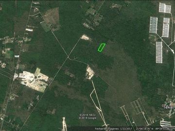 TERRENO EN VENTA EN CONKAL, 2.6 ha.