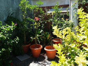 CASA 3 AMBIENTES EN VENTA MATADEROS