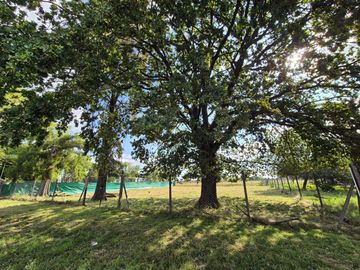 VENTA TERRENO 1000 MTS GRAL RODRIGUEZ ESCRITURA