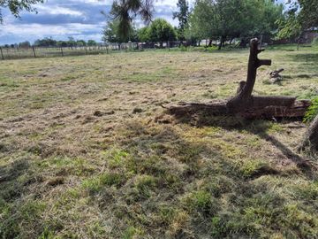 VENTA TERRENO 1000 MTS GRAL RODRIGUEZ ESCRITURA
