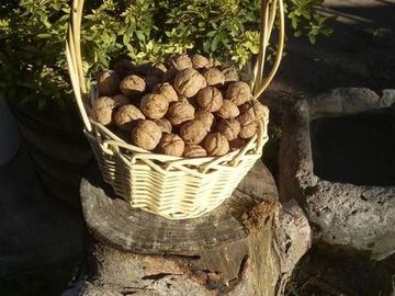 GRANJA DE DESCANSO A LA VENTA EN SACRAMENTO