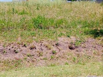 VENTA TERRENO ECOVIDA - VILLA AMELIA - 300MTS2