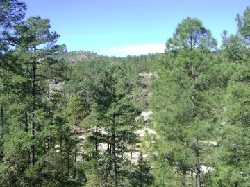 Terreno Basaseachi
