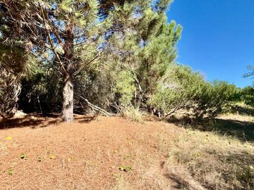 Lote en venta Senderos III Costa Esmeralda
