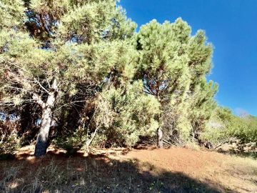 Lote en venta Senderos III Costa Esmeralda