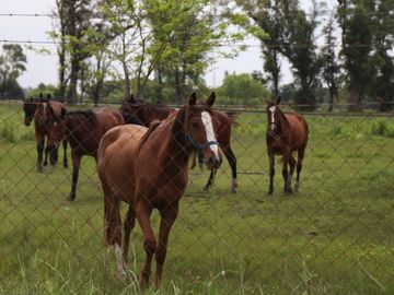 LOTE EN VENTA EN CLUB DE CAMPO TRES PINOS