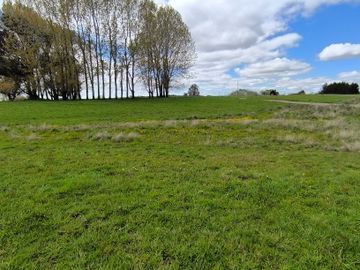 Parcela en venta  en OSORNO