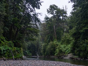 Parcela en venta  en CASTRO