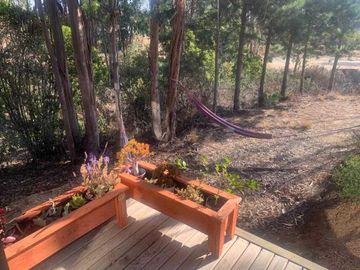 Casa en arriendo  en ALGARROBO