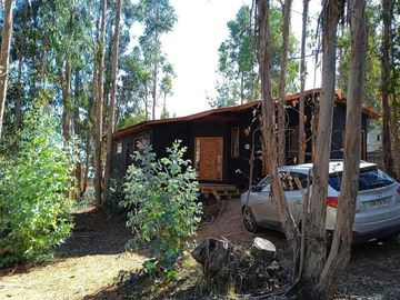 Casa en arriendo  en ALGARROBO