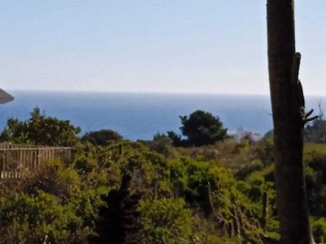 Casa en arriendo  en ALGARROBO