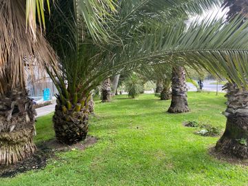 Departamento en arriendo  en SANTIAGO