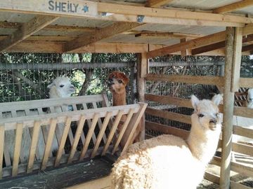 Parcela en venta  en ALGARROBO
