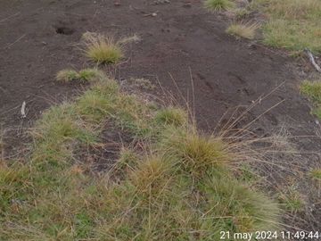 Parcela en venta  en CURACAUTÍN