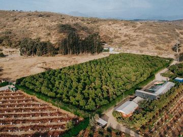 Parcela en venta  en LIMACHE