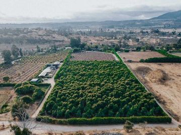 Parcela en venta  en LIMACHE