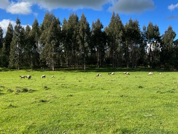 Parcela en venta  en VILLARRICA