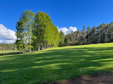 Parcela en venta  en VILLARRICA