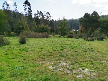 Parcela en venta  en CORONEL