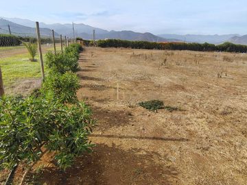 Parcela en venta  en COQUIMBO