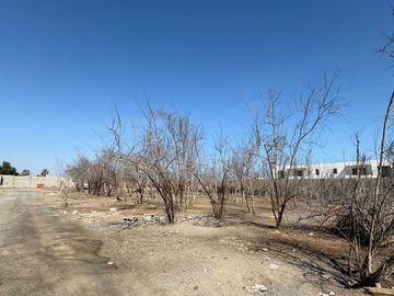 Parcela en venta  en ARICA