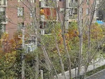 Departamento en arriendo  en SAN MIGUEL