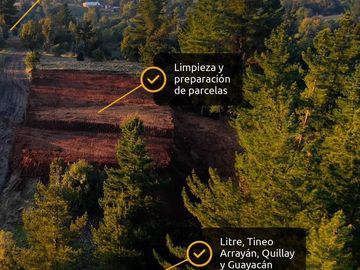 Parcela en venta  en QUILLÓN