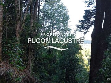Parcela en venta  en PUCÓN