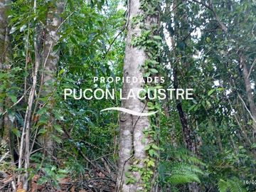 Parcela en venta  en PUCÓN