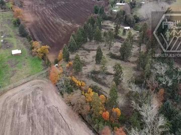 Parcela en venta  en VILCÚN