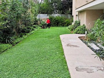 Departamento en arriendo  en MACUL