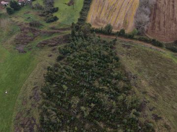 Parcela en venta  en PAILLACO