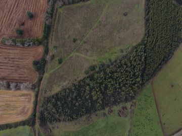 Parcela en venta  en PAILLACO