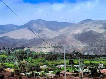 Parcela en venta  en VICUÑA