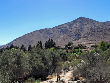 Parcela en venta  en VICUÑA