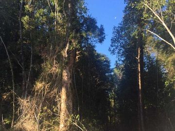 Parcela en venta  en PUERTO MONTT