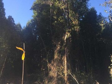 Parcela en venta  en PUERTO MONTT