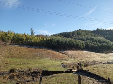Parcela en venta  en ANGOL