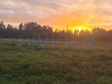 Parcela en venta  en LINARES