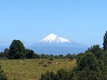 Parcela en venta  en RÍO BUENO